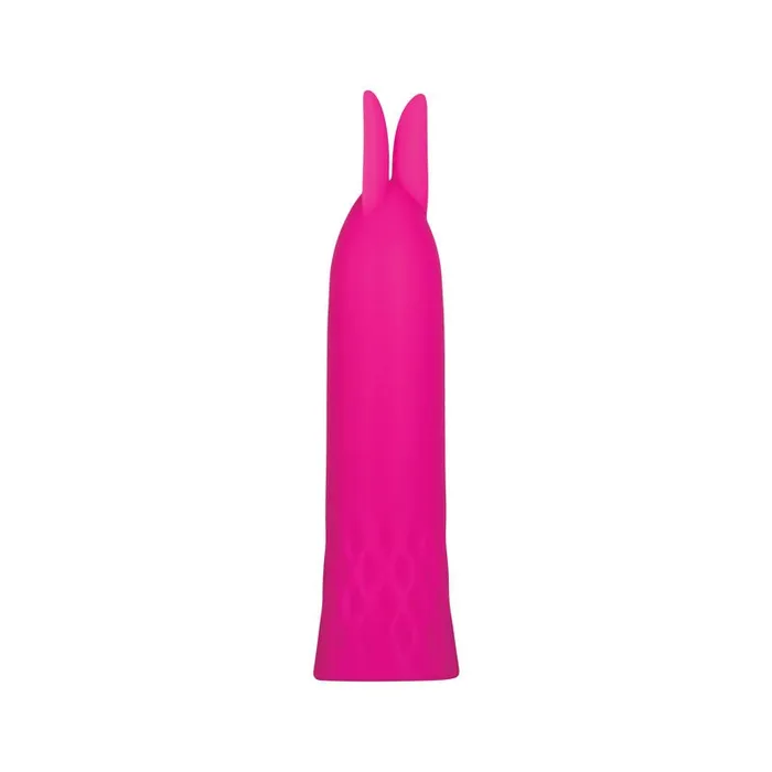 Evolved Vibrators Evolved Bullet Buddy Pink 105 cm USB Rechargeable Bullet Evolved Vibrators Evolved Bullet Buddy Pink 105 cm USB Rechargeable Bullet