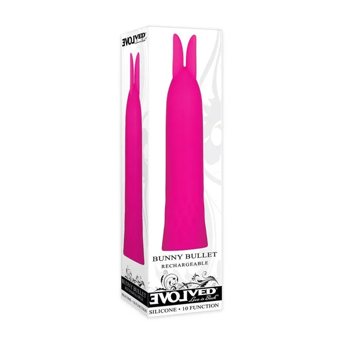 Evolved Vibrators Evolved Bullet Buddy Pink 105 cm USB Rechargeable Bullet Evolved Vibrators Evolved Bullet Buddy Pink 105 cm USB Rechargeable Bullet
